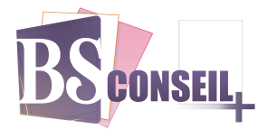 {gs l=main_logo_alt} BS Conseil Plus